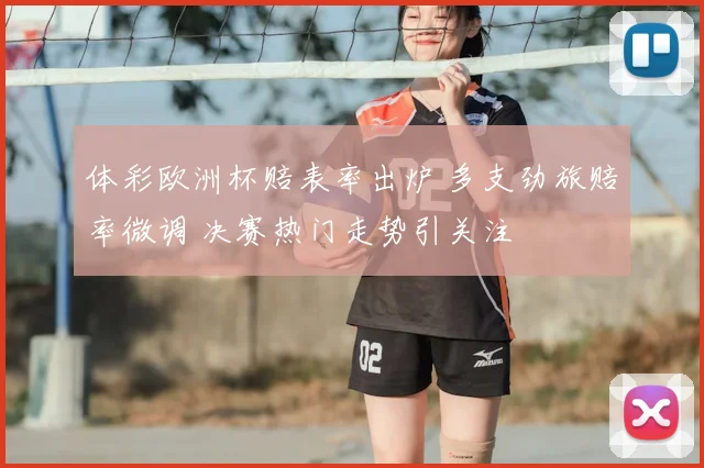 体彩欧洲杯赔表率出炉 多支劲旅赔率微调 决赛热门走势引关注